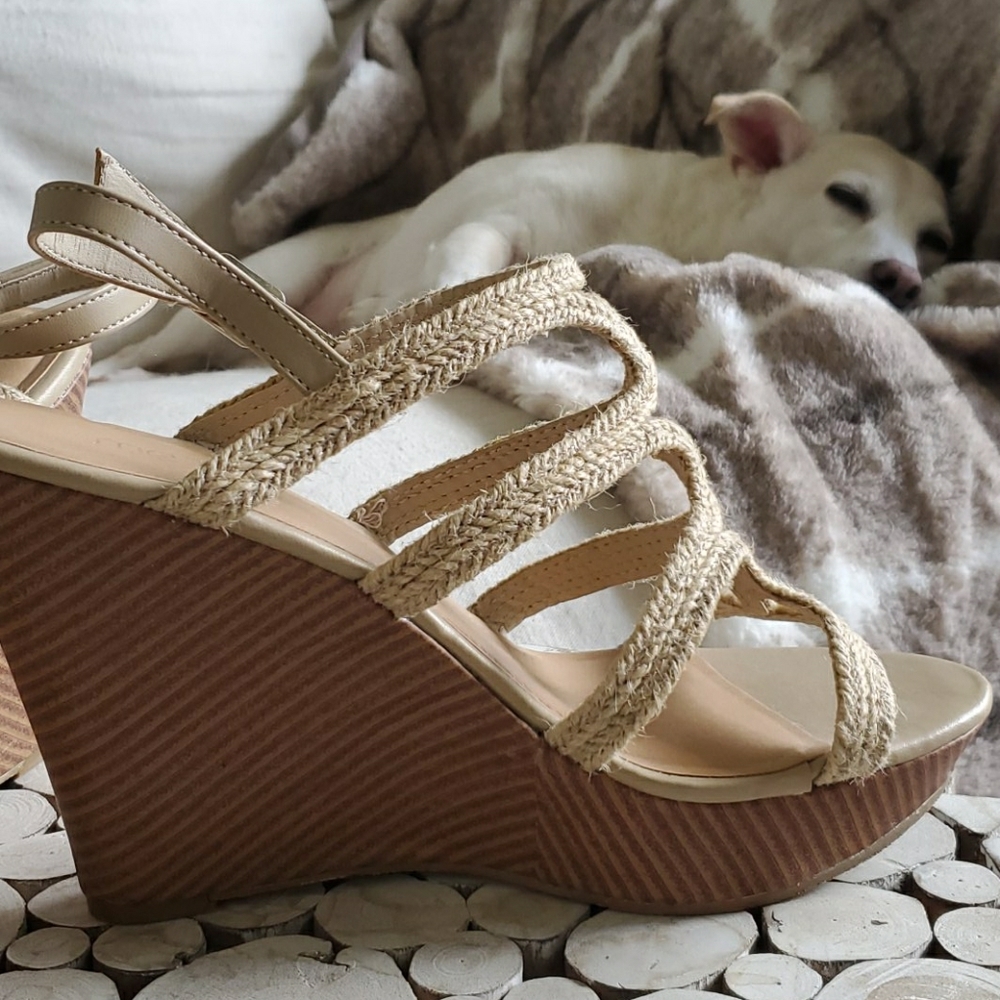 Wedge
